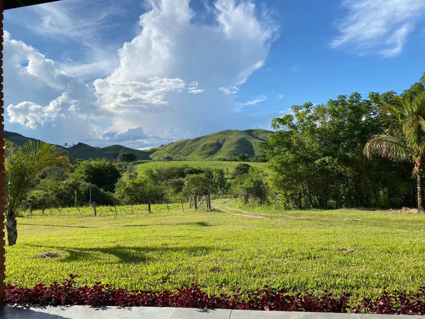 The family farm in Paraná, Brazil