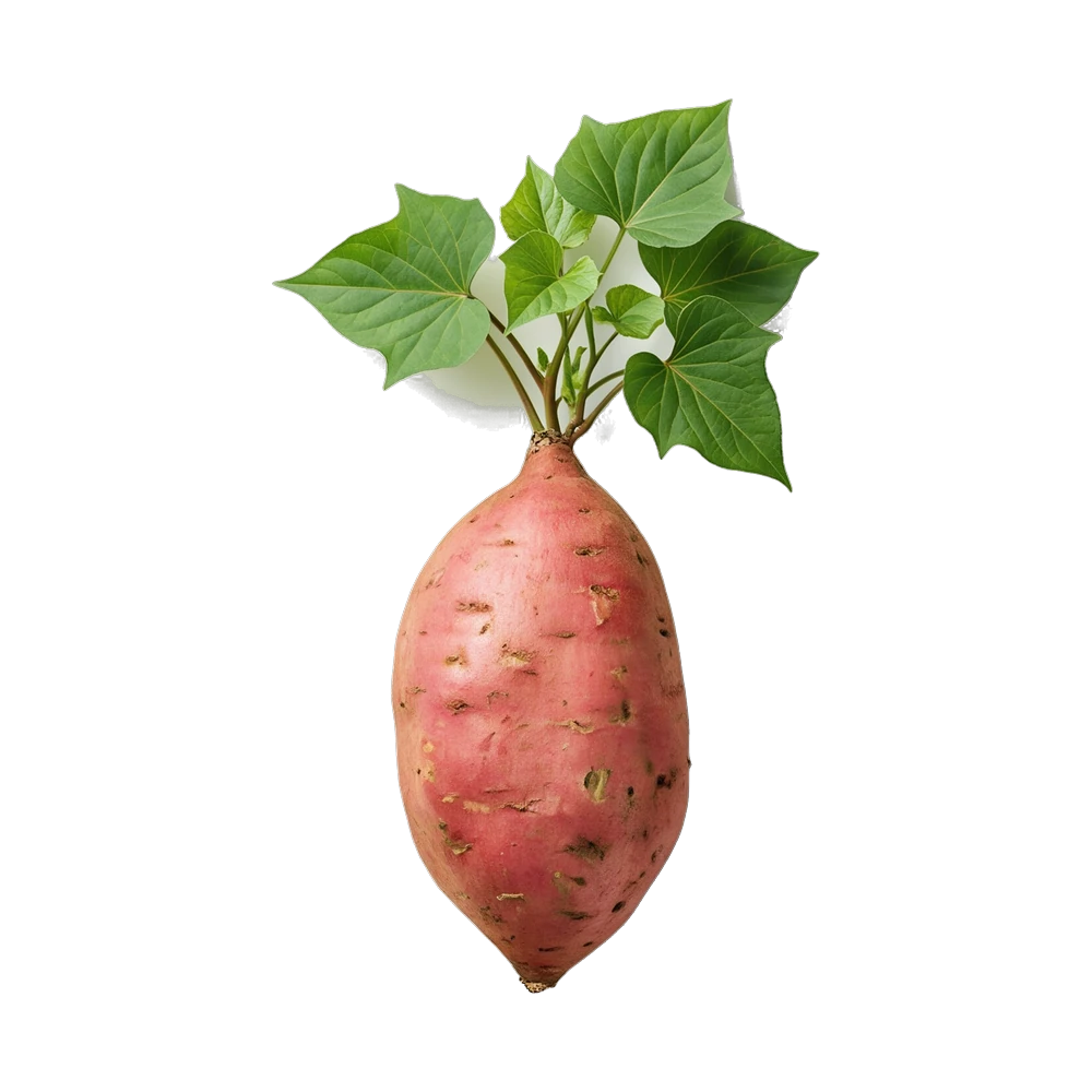 Whole Rubissol sweet potatoes