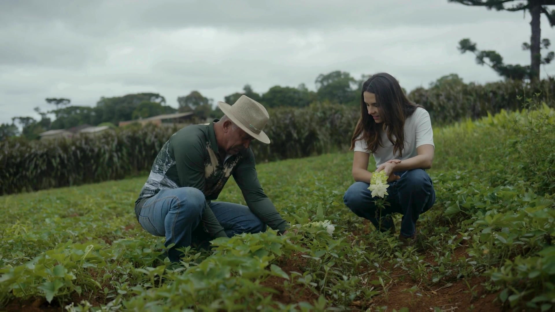 Elza and a farmer checking Rubissol sweet potato plants in the field